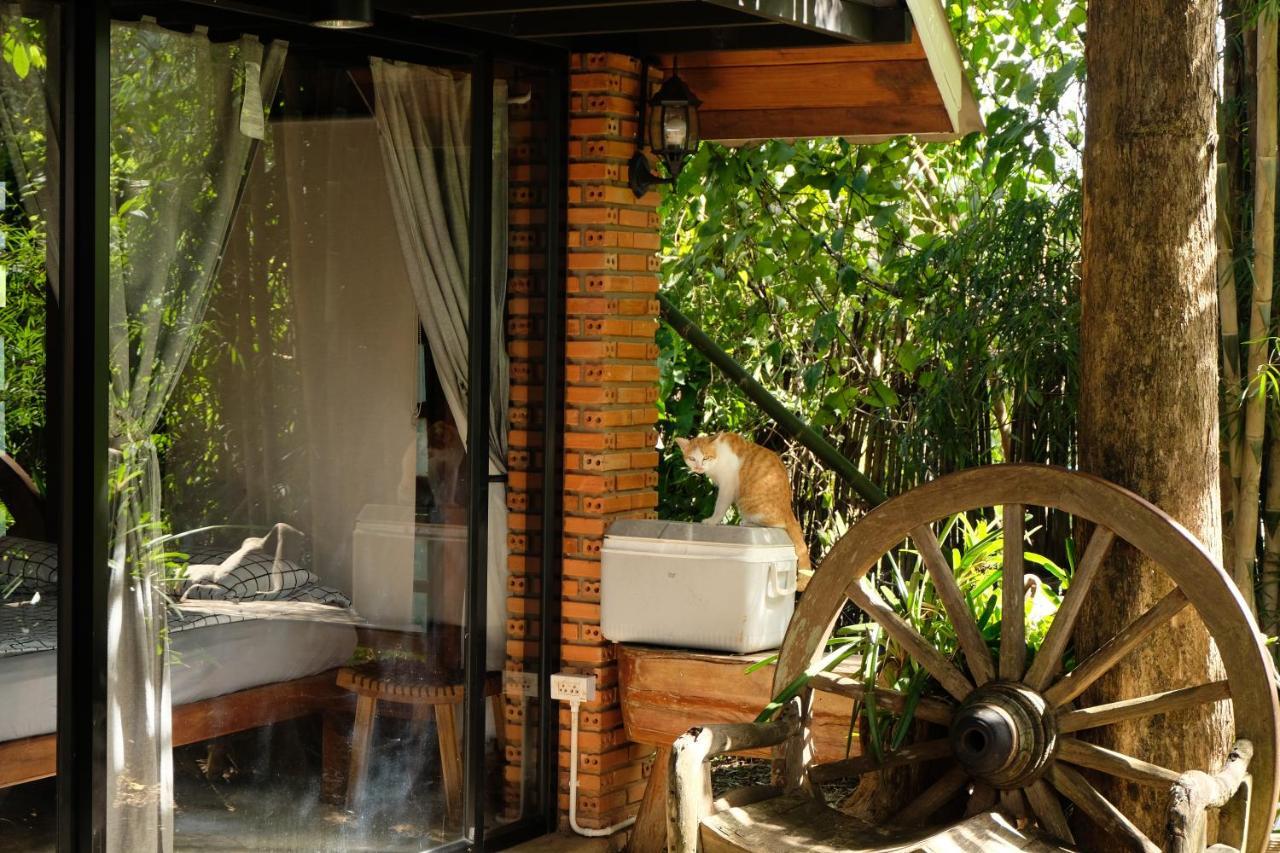 Ashi Guesthouse Chiangdao Чианг Дао Екстериор снимка